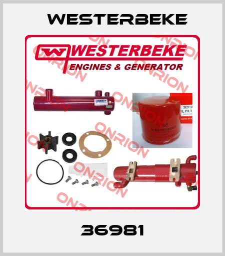 36981 Westerbeke