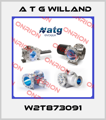 W2T873091 A T G Willand