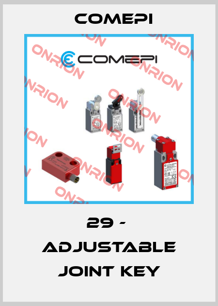 29 -  Adjustable joint key Comepi