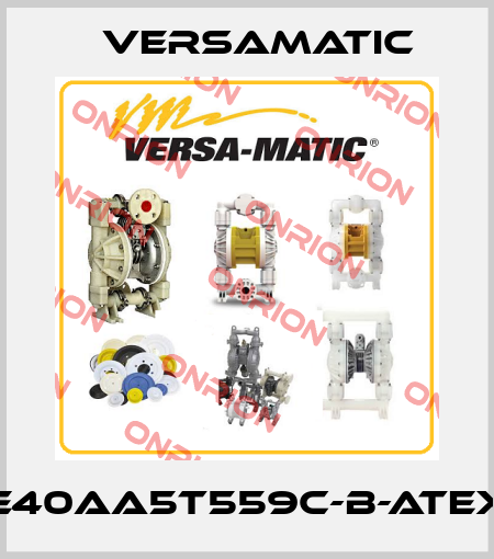 E40AA5T559C-B-ATEX VersaMatic