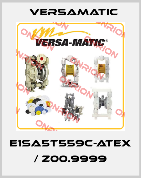 E1SA5T559C-ATEX / Z00.9999 VersaMatic