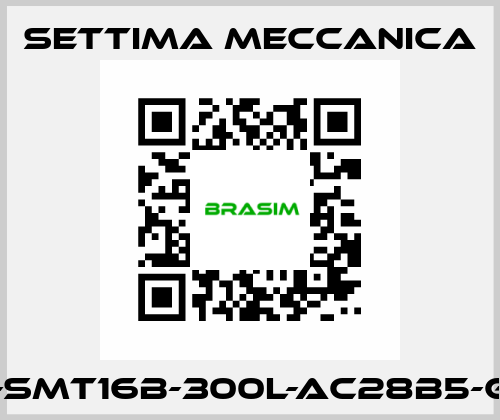 GR55-SMT16B-300L-AC28B5-G-S2-T Settima Meccanica