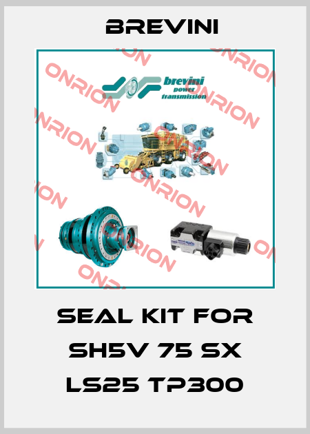 Seal kit for SH5V 75 SX LS25 TP300 Brevini