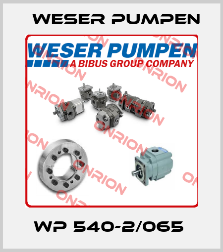 WP 540-2/065  Weser Pumpen