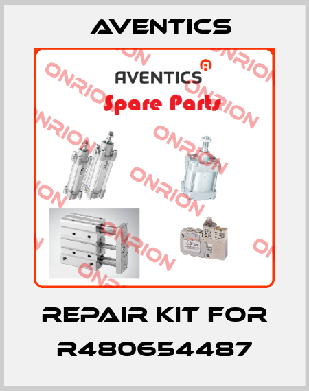 REPAIR KIT for R480654487 Aventics