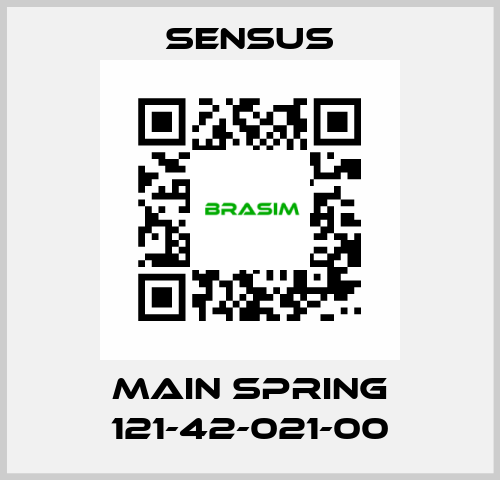 Main spring 121-42-021-00 Sensus