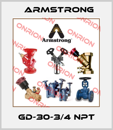 GD-30-3/4 NPT Armstrong