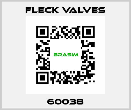 60038 Fleck Valves