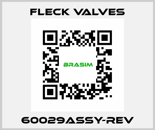 60029ASSY-REV Fleck Valves