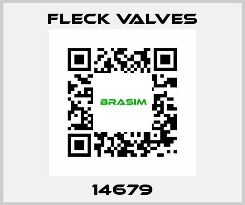 14679 Fleck Valves