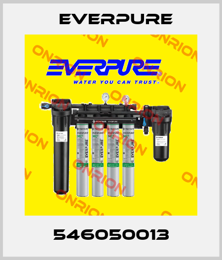 546050013 Everpure