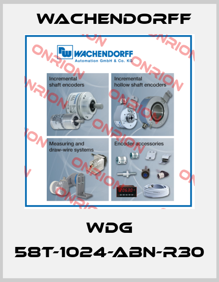 WDG 58T-1024-ABN-R30 Wachendorff