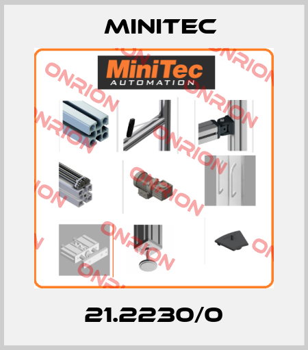 21.2230/0 Minitec