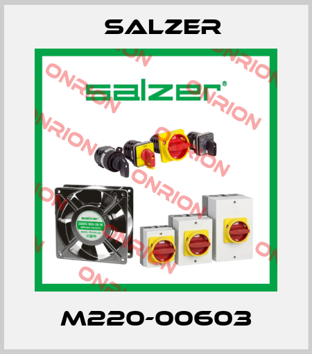 M220-00603 Salzer