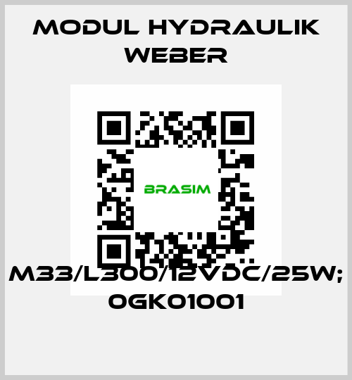 M33/L300/12VDC/25W; 0GK01001 MODUL HYDRAULIK WEBER