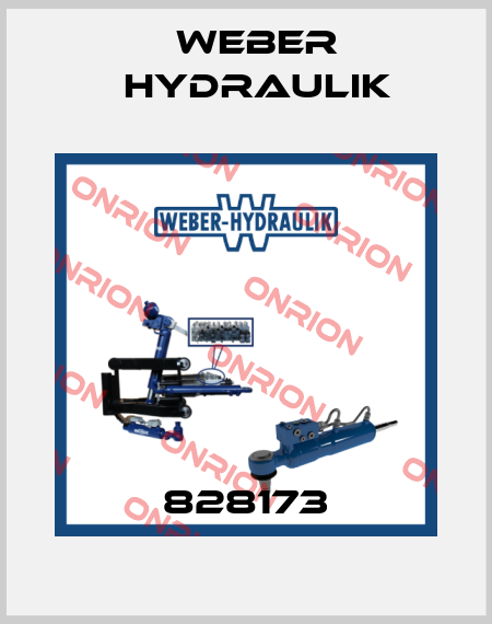 828173 Weber Hydraulik