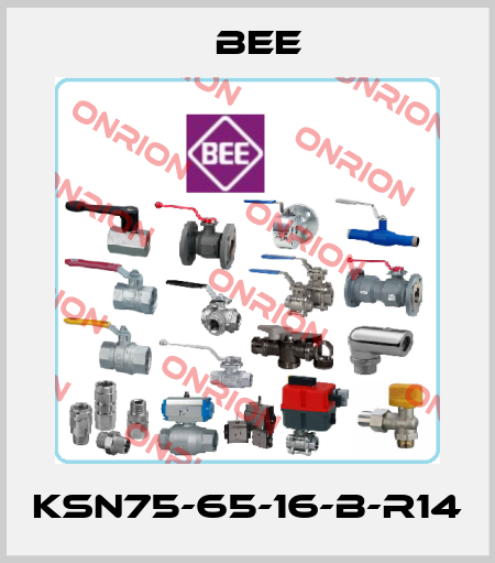 KSN75-65-16-B-R14 BEE