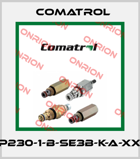 CP230-1-B-SE3B-K-A-XXX Comatrol