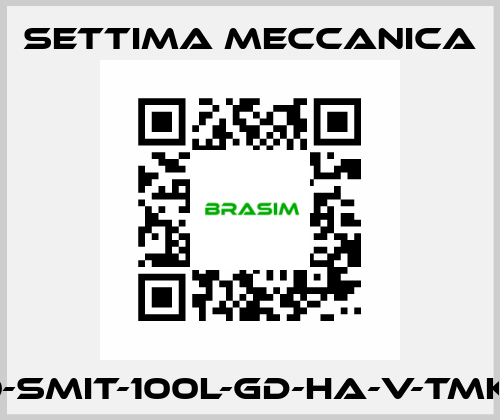 GR40-SMIT-100L-GD-HA-V-TMK-CSM Settima Meccanica