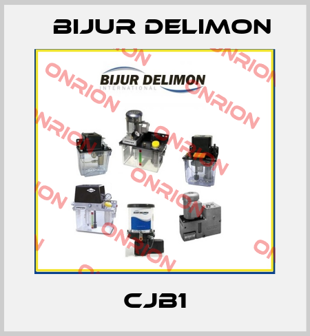 CJB1 Bijur Delimon