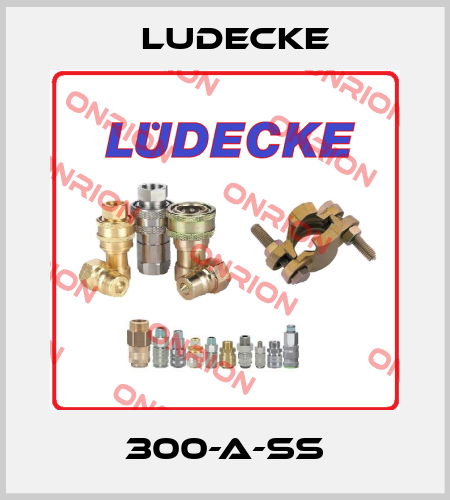 300-A-SS Ludecke