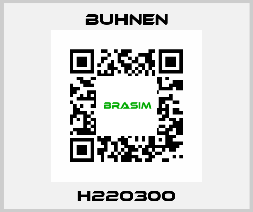 H220300 Buhnen