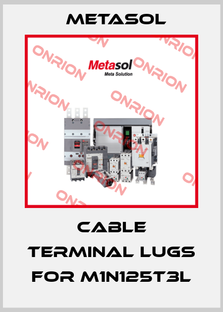 Cable terminal Lugs for M1N125T3L Metasol