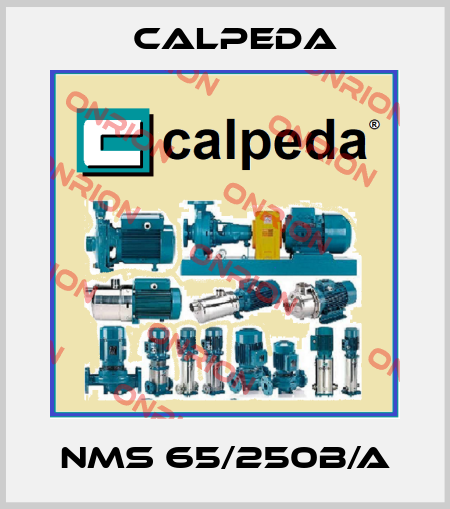 NMS 65/250B/A Calpeda