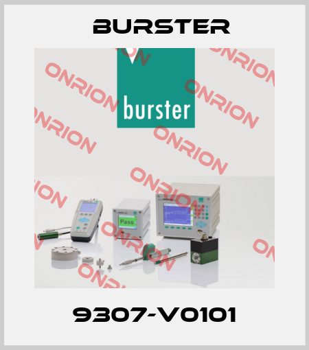 9307-V0101 Burster