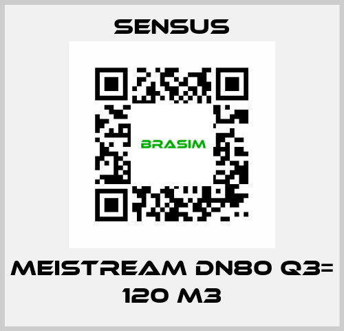 Meistream DN80 Q3= 120 m3 Sensus