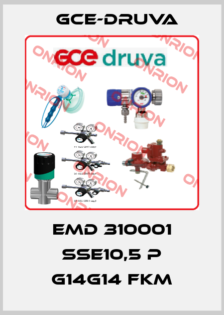 EMD 310001 SSE10,5 P G14G14 FKM Gce-Druva