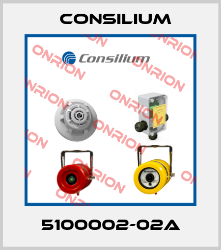 5100002-02A Consilium