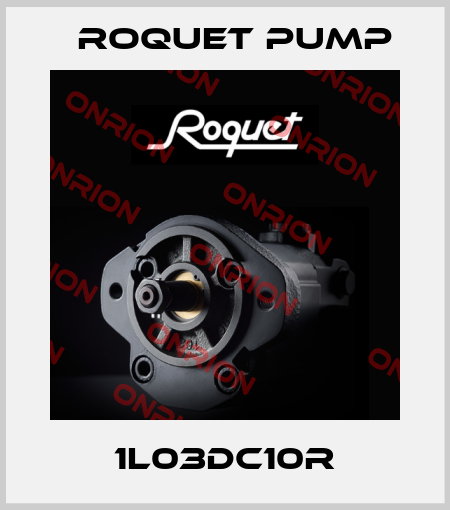 1L03DC10R Roquet pump