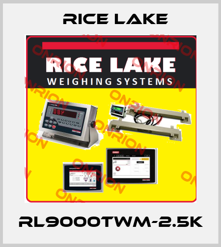 RL9000TWM-2.5k Rice Lake