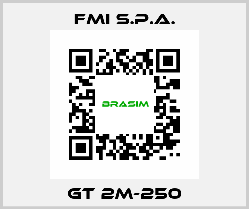 GT 2M-250 FMI S.p.A.