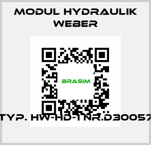 Typ. HW-HD-1 Nr.D30057 MODUL HYDRAULIK WEBER