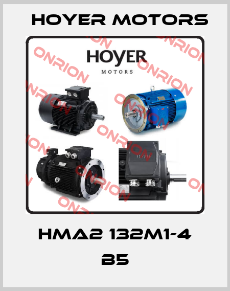 HMA2 132M1-4 B5 Hoyer Motors