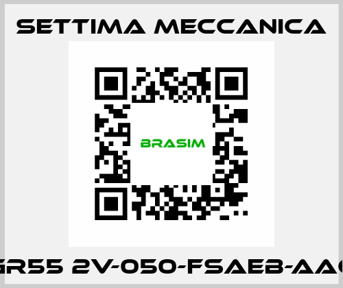 GR55 2V-050-FSAEB-AAC Settima Meccanica