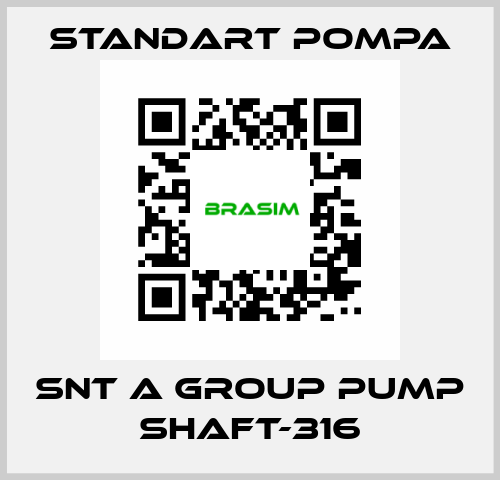 SNT A GROUP PUMP SHAFT-316 STANDART POMPA
