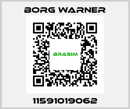 11591019062 Borg Warner