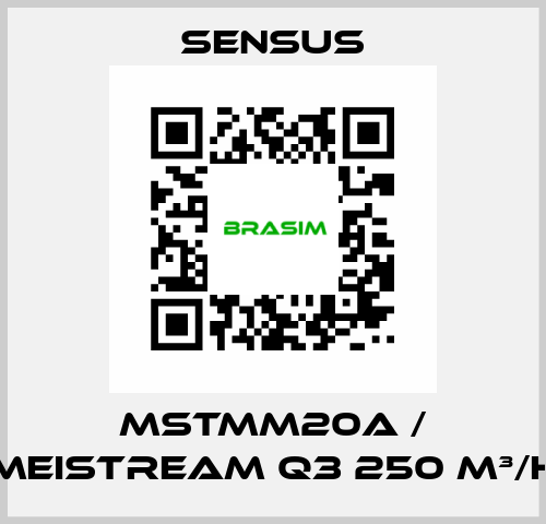 MSTMM20A / MeiStream Q3 250 m³/h Sensus