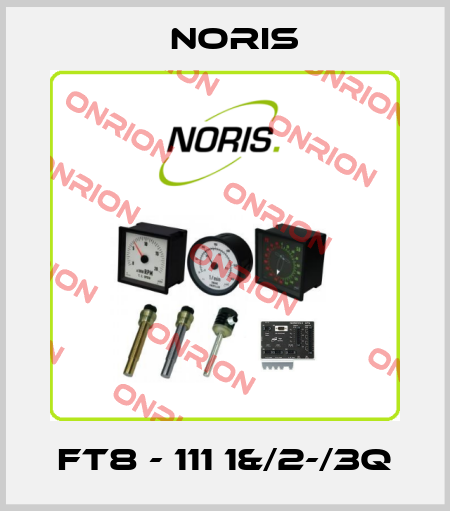FT8 - 111 1&/2-/3Q Noris