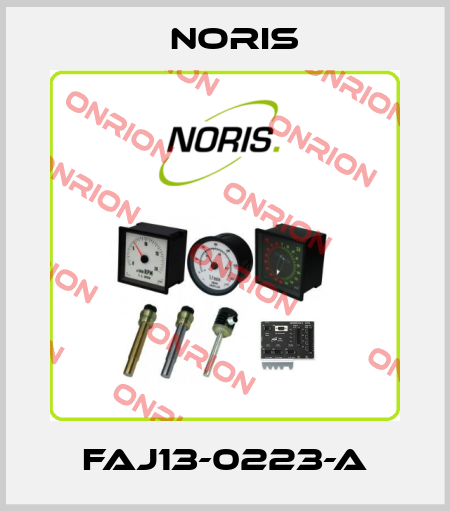 FAJ13-0223-A Noris