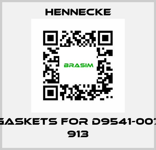 gaskets for D9541-007 913 Hennecke