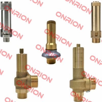 D10/CS BRASS Nuova General Instruments