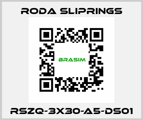 RSZQ-3X30-A5-DS01 Roda Sliprings