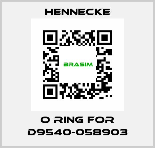 O Ring for D9540-058903 Hennecke