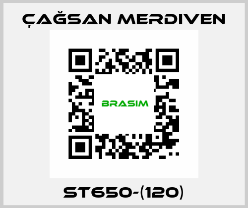 ST650-(120) Çağsan Merdiven