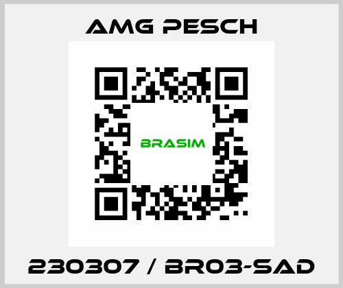 230307 / BR03-SAD AMG Pesch