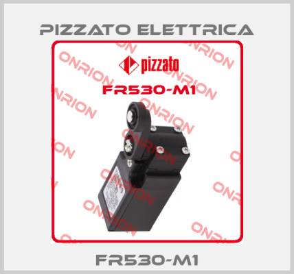 FR530-M1 Pizzato Elettrica